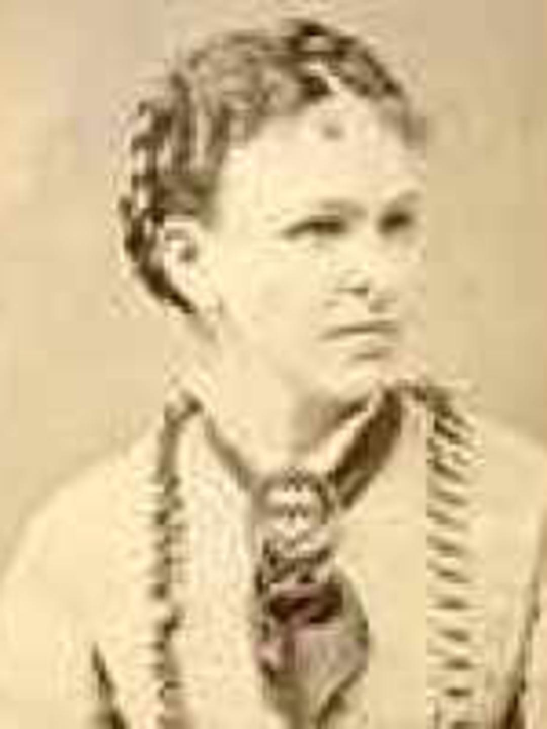 Sarah Elizabeth Ewell (1841 - 1893) Profile